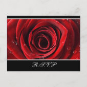 Schöne Rote Rose Hochzeit RSVP Postkarte - Schwarz (Vorderseite)