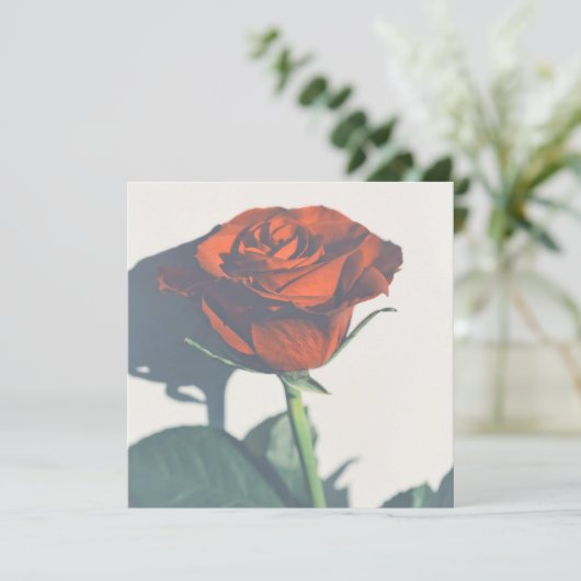 Schöne Rote Rose Ihrer Textflachkarte (Stehend Vorderseite)