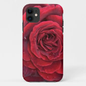 Schöne rote Rose iPhone 11 Fall Case-Mate iPhone Hülle (Rückseite)