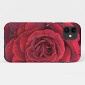Schöne rote Rose iPhone 11 Fall Case-Mate iPhone Hülle (Rückseite (Horizontal))
