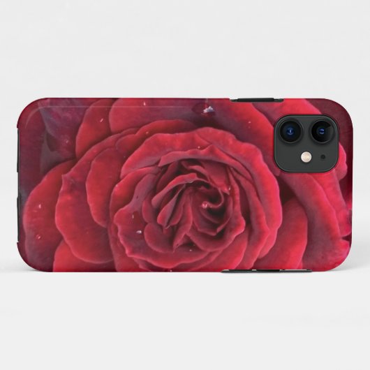 Schöne rote Rose iPhone 11 Fall Case-Mate iPhone Hülle (Rückseite (Horizontal))