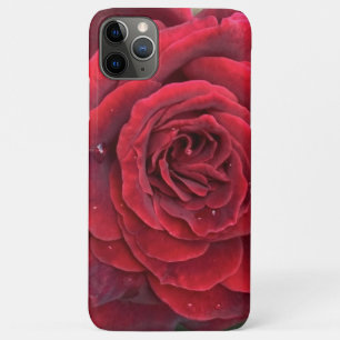 Schöne rote Rose iphone 11 Pro Max Barely gibt Case-Mate iPhone Hülle