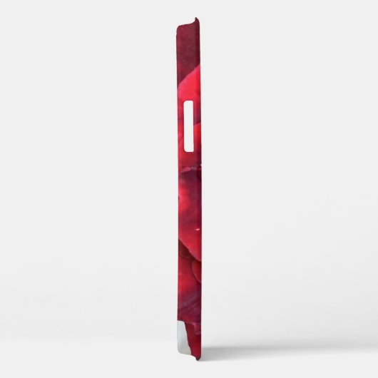 Schöne rote Rose iPhone 12 Gehäuse Case-Mate iPhone Hülle (Rückseite / Rechts)