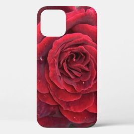 Schöne rote Rose iPhone 12 Gehäuse Case-Mate iPhone Hülle