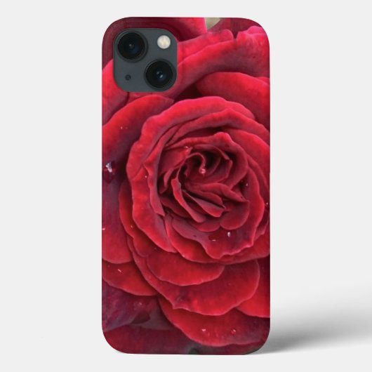 Schöne rote Rose iPhone 13 Fall Case-Mate iPhone Hülle (Rückseite)