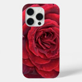Schöne rote Rose iPhone 15 pro Case-Mate iPhone Hülle (Rückseite)