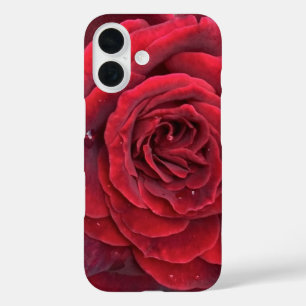 Schöne rote Rose iPhone 16 Fall Hülle