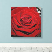Schöne Rote Rose Leinwanddruck (Insitu (Holzboden))