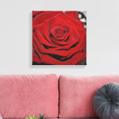 Schöne Rote Rose Leinwanddruck (Insitu (Wohnzimmer))