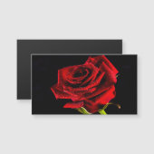 Schöne rote Rose Magnetkarte (Vorne/Hinten)