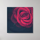 Schöne Rote Rose mit Wasserfällen Leinwanddruck (Vorderseite)