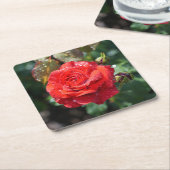 Schöne rote Rose mit Wassertropfen Rechteckiger Pappuntersetzer (angewinkelt)