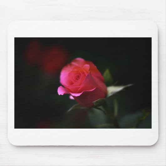 Schöne Rote Rose Mousepad (Vorne)