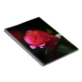 Schöne Rote Rose Notizblock (Rechte Seite)