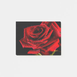 Schöne rote Rose Post-it Klebezettel