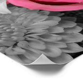 Schöne rote Rose Poster (Ecke)