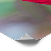 Schöne rote Rose Poster (Ecke)