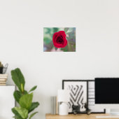 Schöne rote Rose Poster (Heimbüro)