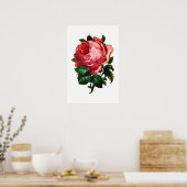 SCHÖNE ROTE ROSE POSTER (Küche)