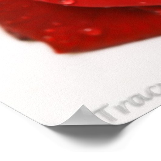 Schöne Rote Rose Poster (Ecke)