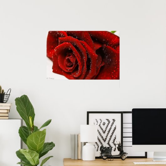 Schöne Rote Rose Poster (Heimbüro)