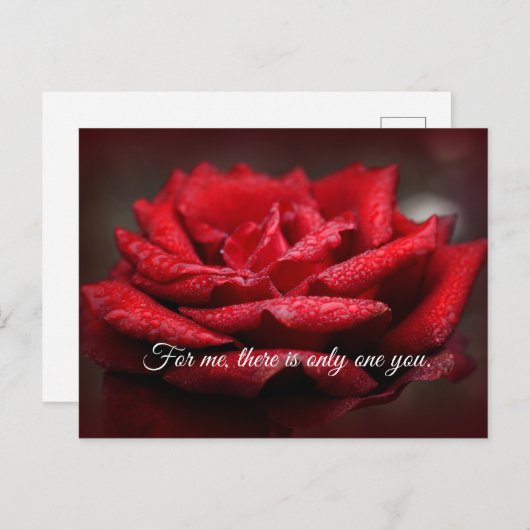 Schöne Rote Rose Postkarte |Anpassbare Meldung (Vorne/Hinten)