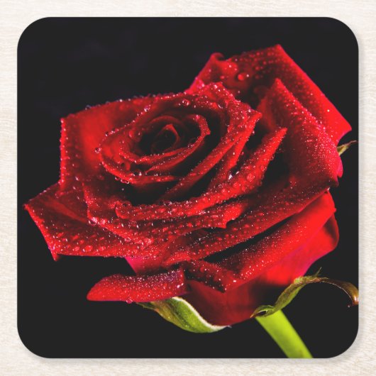 Schöne rote Rose Rechteckiger Pappuntersetzer (Vorderseite)