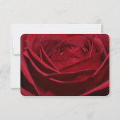Schöne Rote Rose Romantische UAWG RSVP Karte (Rückseite)