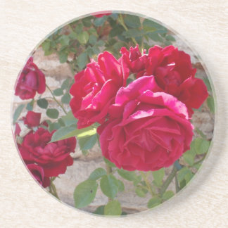 Schöne Rote Rose Sandstein Untersetzer