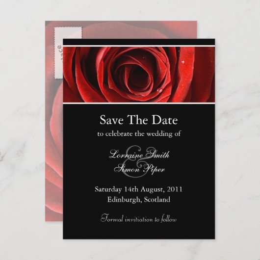Schöne Rote Rose Save the Date Postkarte (Vorne/Hinten)