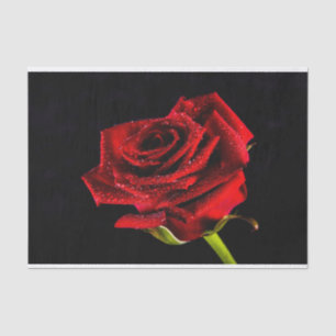 Schöne rote Rose Seidenpapier