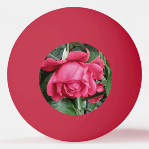 Schöne Rote Rose Tischtennisball
