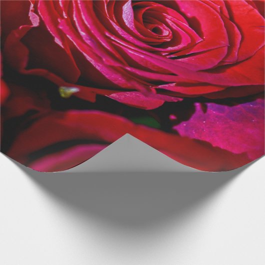 Schöne Rote Rosen Geschenkpapier (Ecke)