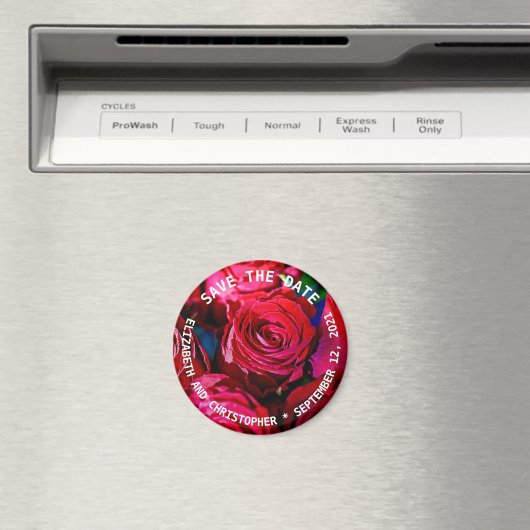 Schöne Rote Rosen Magnet (In Situ (Geschirrspüler))