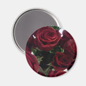 SCHÖNE ROTE ROSEN MAGNET (Vorderseite/Rückseite)