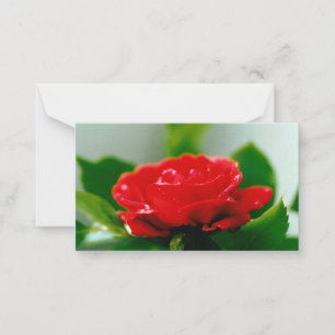 Schöne rote Rosen Morgentau-Tropfen Mitteilungskarte