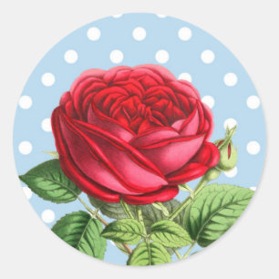 Schöne rote Rosenaufkleber Runder Aufkleber