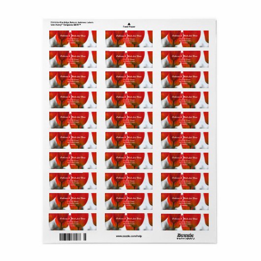 Schöne Rote Tulip-Blume. (Vorne)