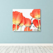 schöne rote Tulpe-Blume Leinwanddruck (Insitu (Holzboden))