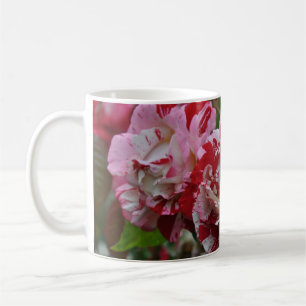 Schöne rote und weiße gewellte Rosen Kaffeetasse