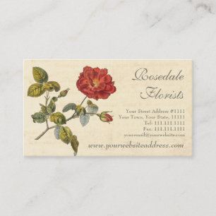 Schöne rote Vintage-Rose im klassischen Stil Visitenkarte