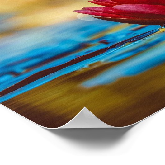 Schöne Rote Wasserlilie Poster (Ecke)