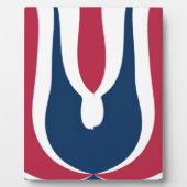 Schöne, rote, weiße, blaue Textur Abstrakt Fotoplatte (Vorderseite)