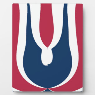 Schöne, rote, weiße, blaue Textur Abstrakt Fotoplatte