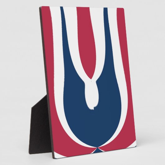 Schöne, rote, weiße, blaue Textur Abstrakt Fotoplatte (Seite)