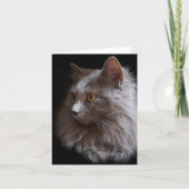 Schöne Russisch Blue Gray Cat Nebelung Blank Karte (Vorderseite)