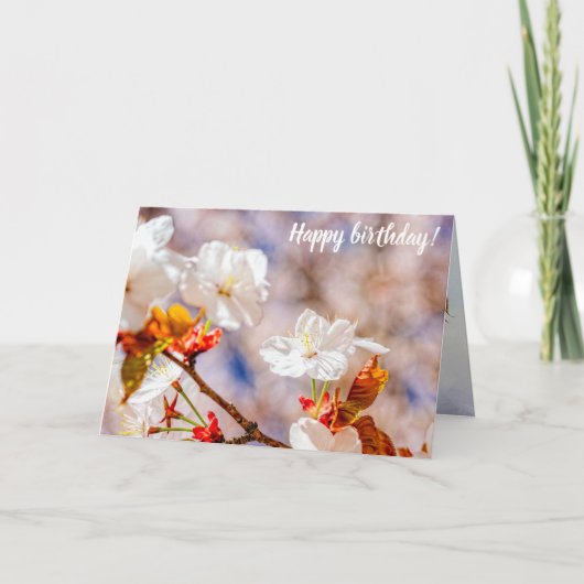 Schöne Sakura Blume an einem sonnigen Frühlingstag Karte (Vorderseite)