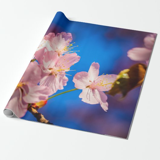 Schöne Sakura-Blüten Geschenkpapier (Ungerollt)