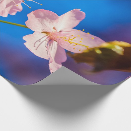 Schöne Sakura-Blüten Geschenkpapier (Ecke)