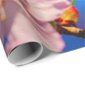 Schöne Sakura-Blüten Geschenkpapier (Rolleneckpunkt)